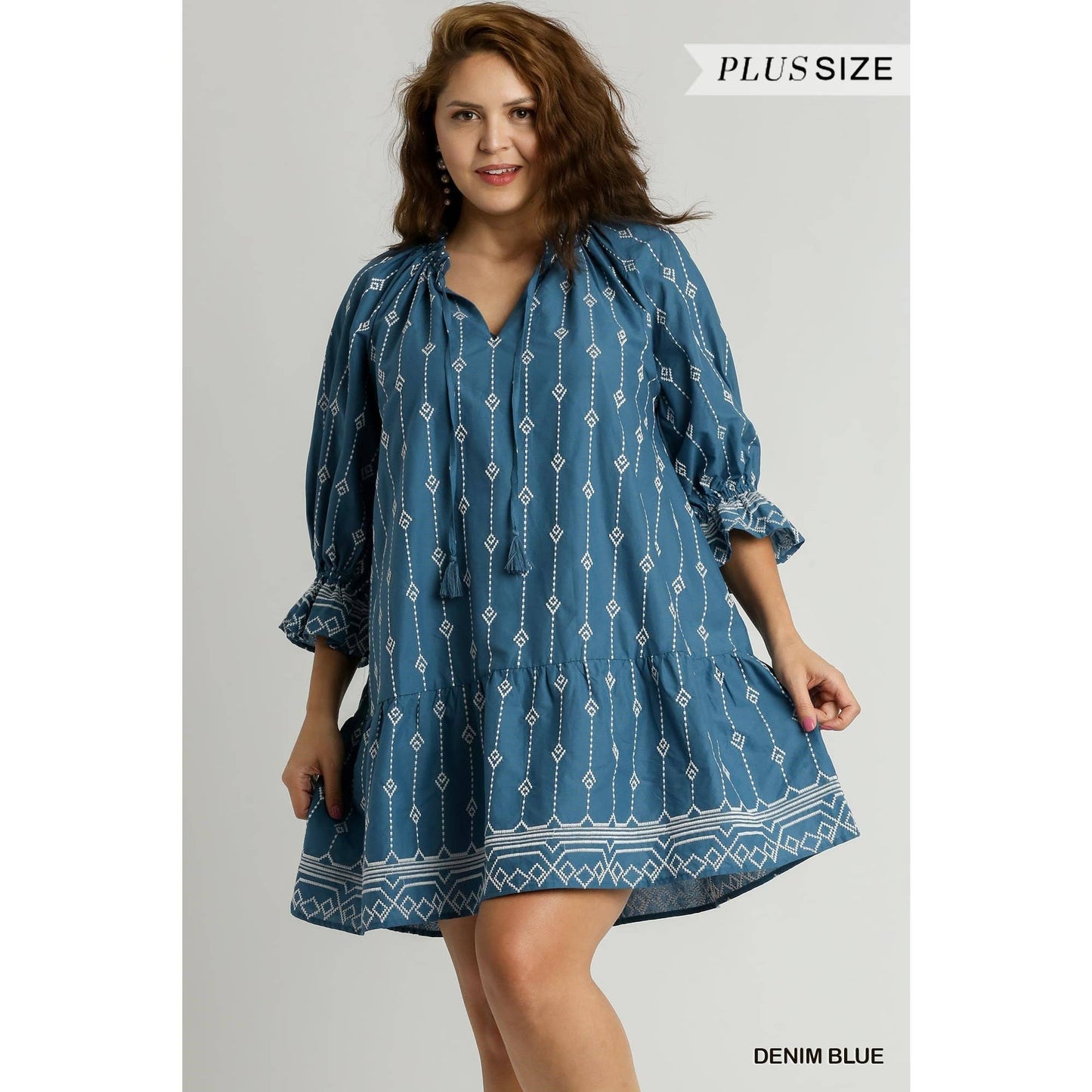 PLUS Embroidery Short A-Line Dress