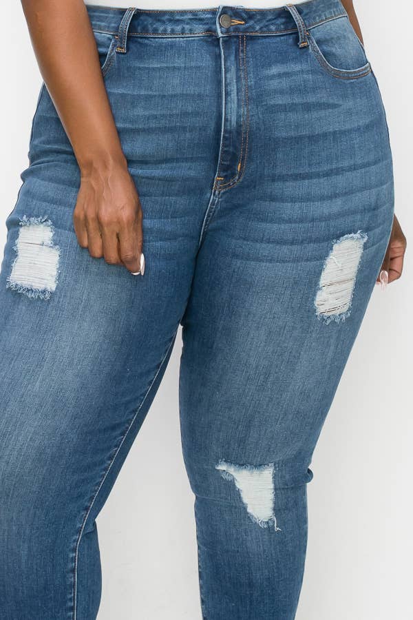 PLUS CURVY SKINNY GENTLY DESTROYED JEANS