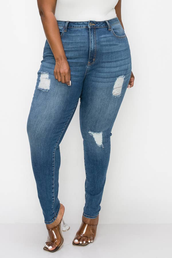 PLUS CURVY SKINNY GENTLY DESTROYED JEANS