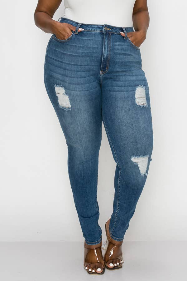 PLUS CURVY SKINNY GENTLY DESTROYED JEANS