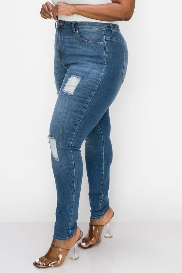 PLUS CURVY SKINNY GENTLY DESTROYED JEANS