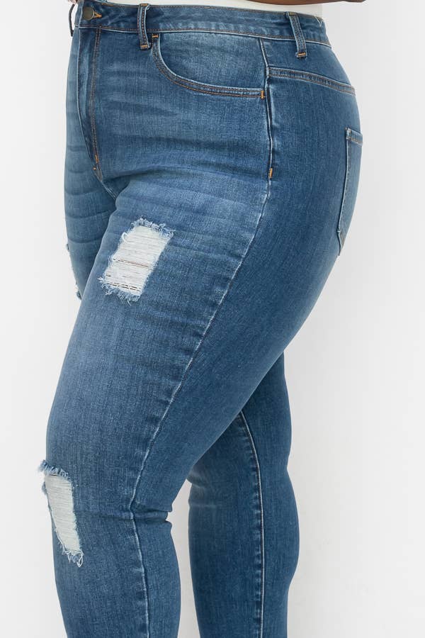 PLUS CURVY SKINNY GENTLY DESTROYED JEANS