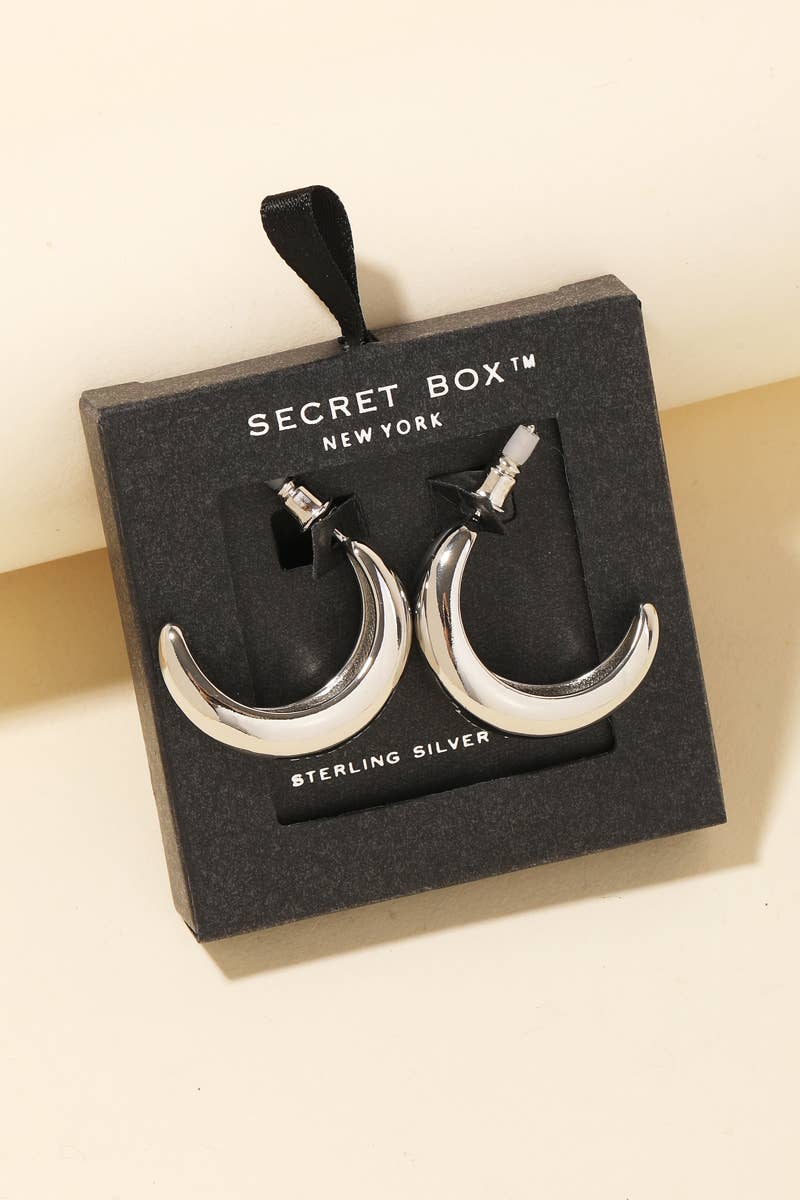 Curvy Hoop Earrings