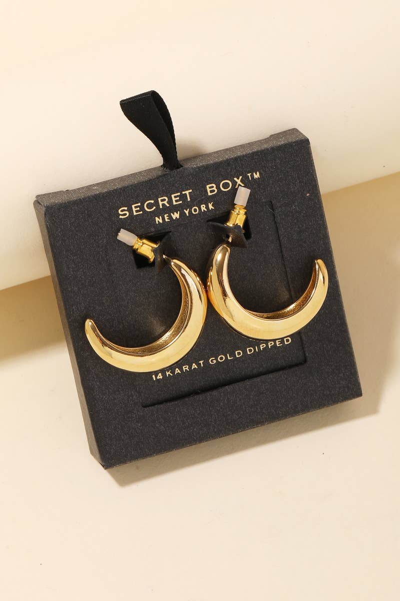 Curvy Hoop Earrings