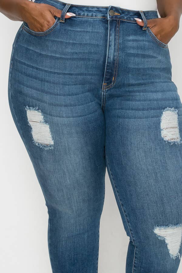 PLUS CURVY SKINNY GENTLY DESTROYED JEANS